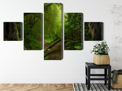 Ljuddämpande tavla - Path in the tropical forest