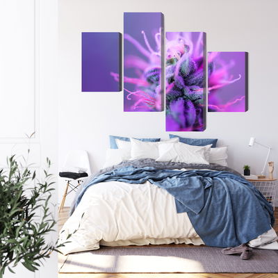 Ljuddämpande tavla - Macro plant on a pink-purple