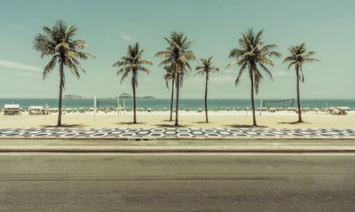 Ljuddämpande tavla - Palm trees on the ipanema
