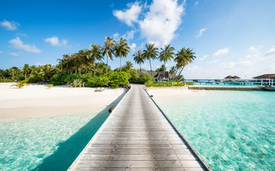 Ljuddämpande tavla - View of the tropical island