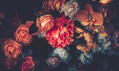 Ljuddämpande tavla - Colorful flowers for vintage