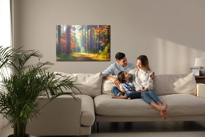 Ljuddämpande tavla - Autumn forest in the morning