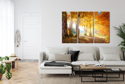 Ljuddämpande tavla - Sunny autumn forest