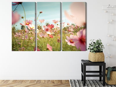 Ljuddämpande tavla - Cosmos flowers in the garden