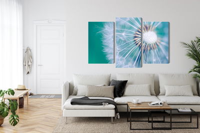 Ljuddämpande tavla - Dandelion on a macro scale