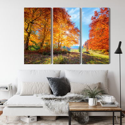 Ljuddämpande tavla - Colorful autumn trees