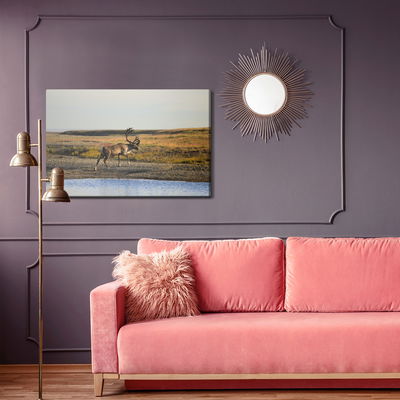 Ljuddämpande tavla - A deer over the water