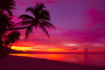 Ljuddämpande tavla - Sea at sunset