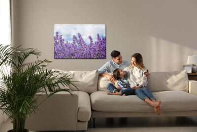 Ljuddämpande tavla - Lavender against the sky