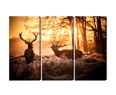 Ljuddämpande tavla - Two deer in the forest