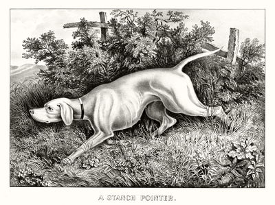 Ljuddämpande tavla - Hunting dog