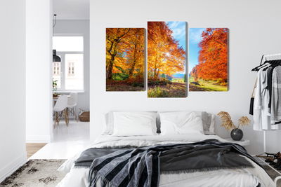 Ljuddämpande tavla - Colourful autumn trees