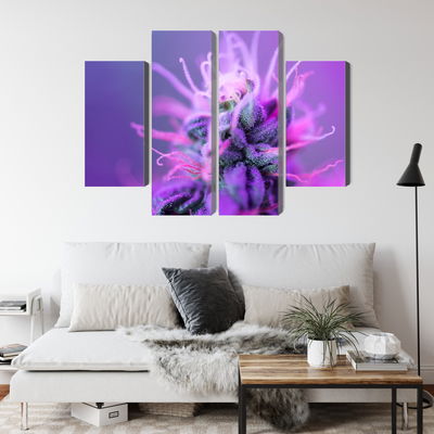 Ljuddämpande tavla - Macro plant on a pink-purple