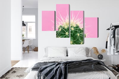 Ljuddämpande tavla - Cactus on a pink background