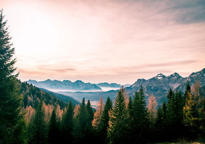Ljuddämpande tavla - Landscape with the italian