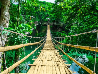 Ljuddämpande tavla - Bamboo bridge in the rain