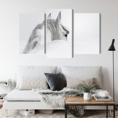 Ljuddämpande tavla - Andalusian horse in the fog