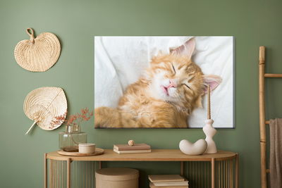 Ljuddämpande tavla - Sleepy ginger kitten