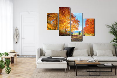 Ljuddämpande tavla - Colorful autumn trees