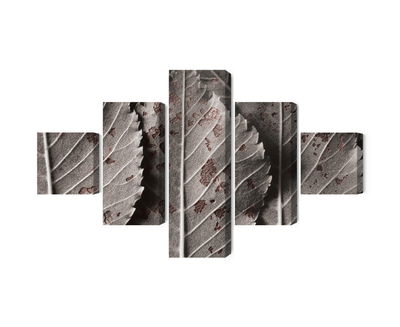 Ljuddämpande tavla - Gray leaves on a macro scale