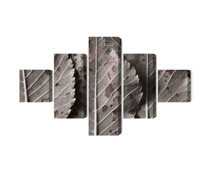 Ljuddämpande tavla - Gray leaves on a macro scale