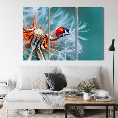 Ljuddämpande tavla - Ladybug on a dandelion