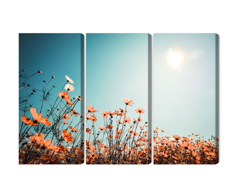 Ljuddämpande tavla - Field flowers in the sun