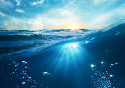 Ljuddämpande tavla - The underwater world