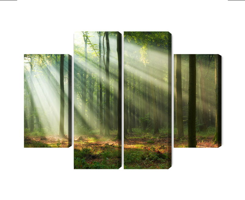 Ljuddämpande tavla - Forest landscape