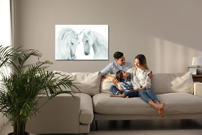 Ljuddämpande tavla - Two white horses