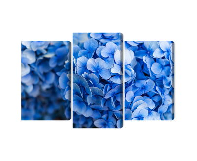 Ljuddämpande tavla - Blue hydrangea flowers close
