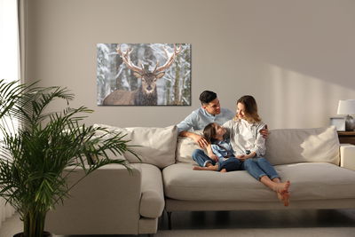 Ljuddämpande tavla - Deer in the winter forest