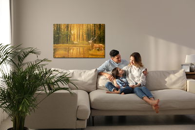 Ljuddämpande tavla - A deer by the lake