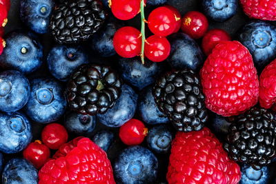 Ljuddämpande tavla - Forest fruits on a macro