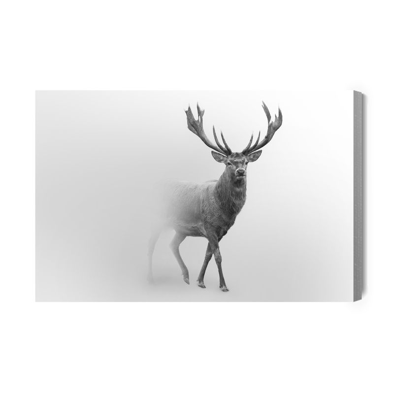 Ljuddämpande tavla - Deer in black and white