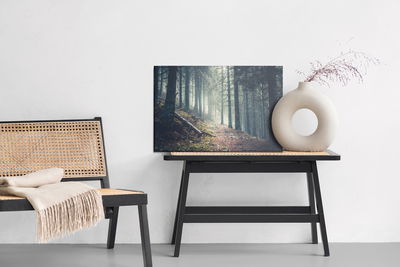 Ljuddämpande tavla - Trail in a dark pine forest