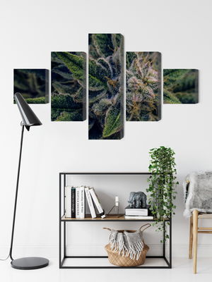 Ljuddämpande tavla - Cannabis plant close up