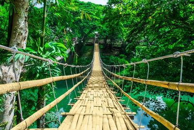 Ljuddämpande tavla - Bamboo bridge in the rain