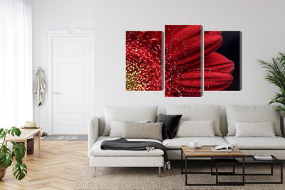 Ljuddämpande tavla - Flower petals on a macro