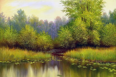 Ljuddämpande tavla - Spring landscape with a lake