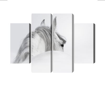 Ljuddämpande tavla - Andalusian horse in the fog