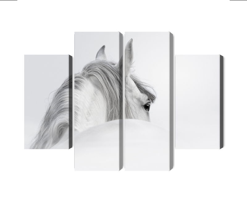 Ljuddämpande tavla - Andalusian horse in the fog