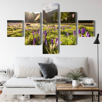 Ljuddämpande tavla - Chocholowska valley