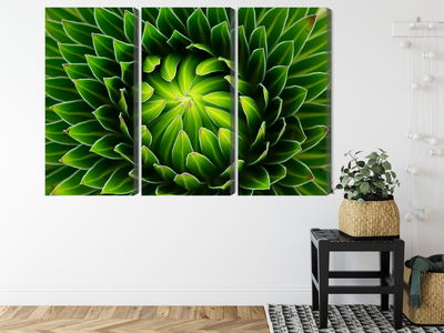 Ljuddämpande tavla - Green plant on a macro scale