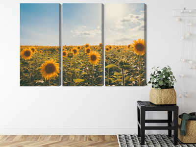 Ljuddämpande tavla - Sunflower field on a summer