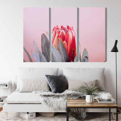 Ljuddämpande tavla - Flower of the royal protéa