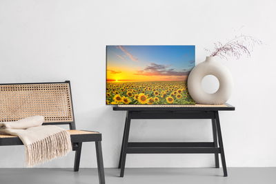 Ljuddämpande tavla - Sunset over a field