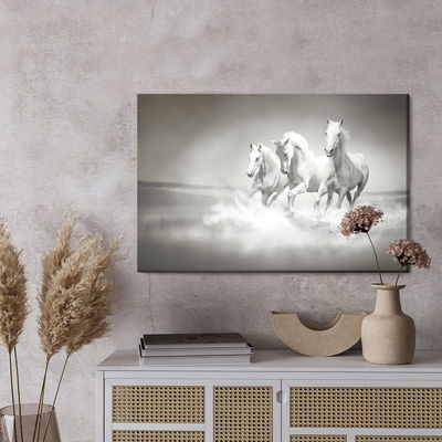 Ljuddämpande tavla - Horses in black and white