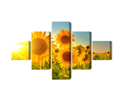 Ljuddämpande tavla - Sunflower field at sunset 3d