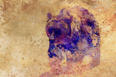 Ljuddämpande tavla - Ferocious bear